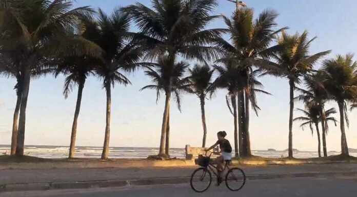 Projeto visa conscientizar turistas do litoral de SP sobre prevenções à Covid-19