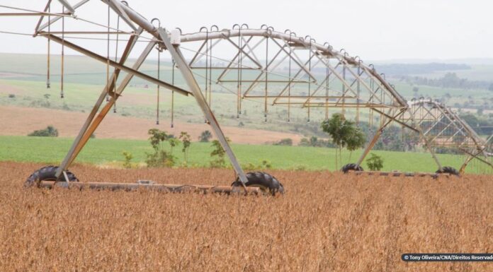 Governo afirma que soja brasileira não “exporta desmatamento”