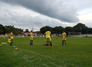 Quatro jogadores e presidente do Palmas morrem em acidente aéreo