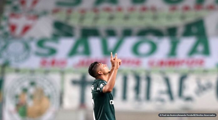 Após 20 anos, Palmeiras volta à final da Taça Libertadores