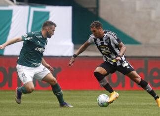 Com cabeça no Mundial, Palmeiras apenas empata com o Botafogo pelo Brasileirão