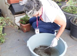 Ações de combate ao Aedes aegypti são adaptadas durante a pandemia