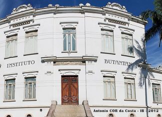 Butantan pede autorização para testar soro contra covid-19 em humanos