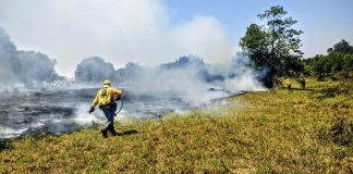 Ministério decreta situação de emergência ambiental prévia