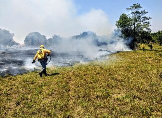 Ministério decreta situação de emergência ambiental prévia