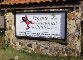 Pesquisadores reencontram dois anfíbios desaparecidos em Itatiaia