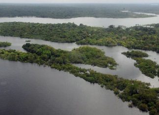 Publicada lista de unidades selecionadas ao programa Adote um Parque