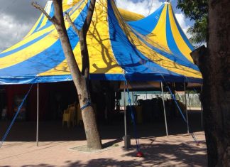 Sem bilheteria e sem calor humano: pandemia desafia artistas de circo