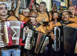 Lei que cria o Dia Nacional do Sanfoneiro é sancionada