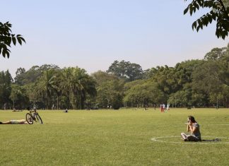 São Paulo reabre parques, restaurantes e academias neste sábado