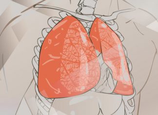Poluição do ar prejudica recuperação de lesões pulmonares, sugere pesquisa
