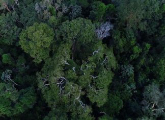 Inpe cria plataforma gratuita de dados do solo brasileiro