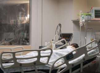 Covid-19: entidades destacam importância de higienização bucal