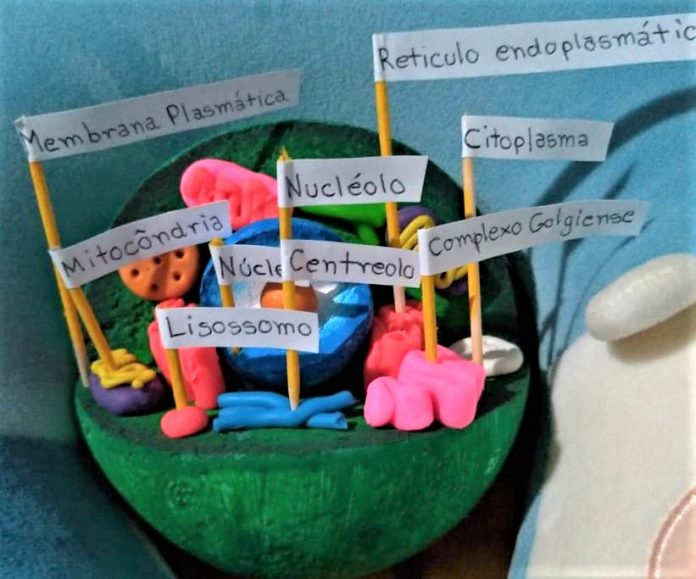 aula de ciências (3)