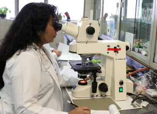 Rede Brasileira de Mulheres Cientistas busca ampliar diálogo com sociedade
