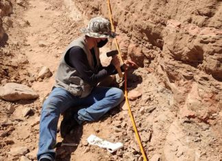 Escavação em rodovia de SP revela fragmentos de dinossauro