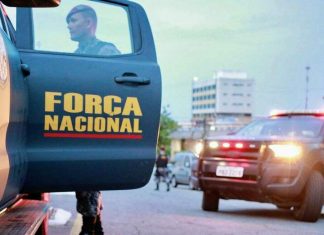 Força Nacional vai apoiar o Ibama em ações na Amazônia Legal
