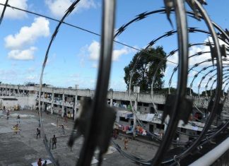 CNJ lança aplicativo para egressos do sistema prisional
