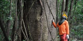 Empresas apostam em economia circular para reduzir impactos ambientais