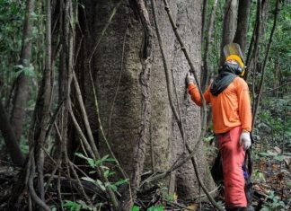 Empresas apostam em economia circular para reduzir impactos ambientais