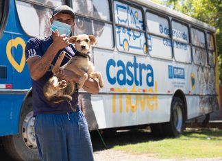 Itapevi abre inscrições online para castrações de pets
