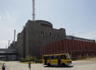 Reatores de usina tomada por russos não foram danificados