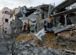 Taxa de pobreza na Palestina aumentou 20% após bombardeios
