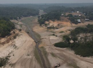 Pesquisador vê relação entre seca no Rio Negro e aquecimento global