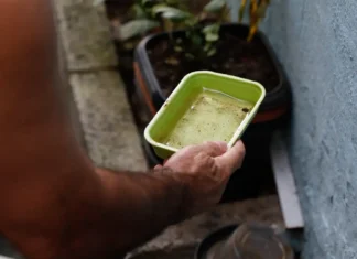Vacina da dengue agrega outras estratégias de combate, diz ministério