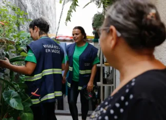 Em um mês, casos de dengue dobram em São Paulo