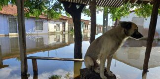 Rompimento de barragem alaga 23 casas e deixa 32 desalojados no Ceará