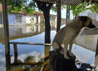 Rompimento de barragem alaga 23 casas e deixa 32 desalojados no Ceará