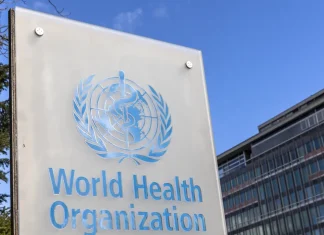 Preparativos para COP30 impressionam representante da ONU