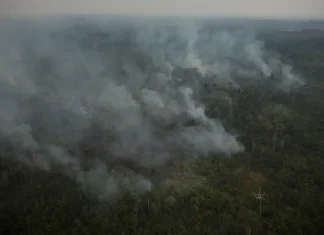 AGU cobra R$ 89 milhões de acusados de causar queimadas na Amazônia