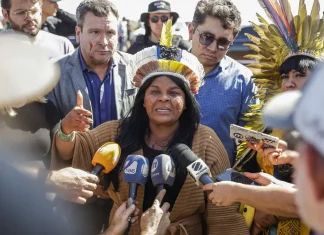 Sonia Guajajara pede ao STF pressa em homologação de terra indígena
