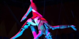 Funarte lança candidatura do circo como patrimônio cultural imaterial