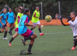Futebol feminino ainda é predominantemente amador no Brasil
