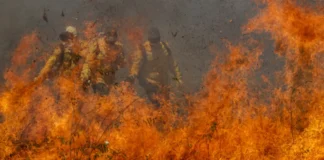 Pantanal acumula em 12 meses mais de 9 mil focos de incêndio