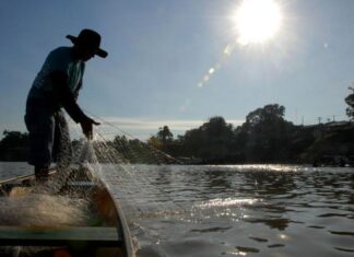 Caixa abre linha de crédito específica para pescadores artesanais