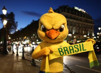 Leões, tigres, cangurus, falcões, águias e canarinhos entram em campo