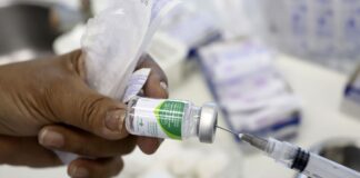 Testes mostram que atual vacina da gripe protege contra H3N2 Darwin