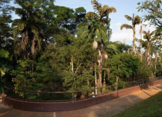 Após dois anos, Parque da Ciência Butantan reabre ao público