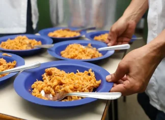 América do Sul é destaque no combate à fome no mundo, diz FAO