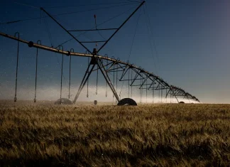 Projeto que permite irrigação em área de proteção recebe críticas