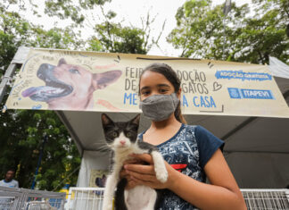 Itapevi realiza Feira de adoção de pets na Praça 18 de Fevereiro neste sábado