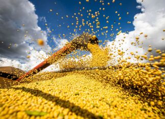 Agronegócio prevê alta dos custos de produção no próximo ano