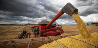 IBGE prevê safra recorde de 288,1 milhões de toneladas em 2023