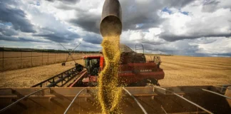 Alckmin comemora dados de produção agroindustrial em abril