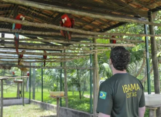 Servidores do meio ambiente decidem entrar em greve no dia 24