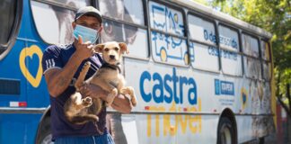Itapevi abre novas inscrições para castração gratuita de cães e gatos